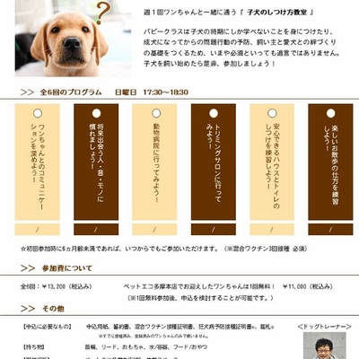 パピークラスチラシ (554x800)-